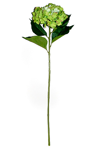 Цветок декор. 141/40 гортензия на стебле салатовая