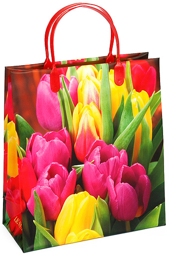 Сумка-пакет пласт. мягк. 12/131 тюльпаны разноцветные
